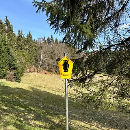 1 - Schmiedefeld - Klein Und Fein