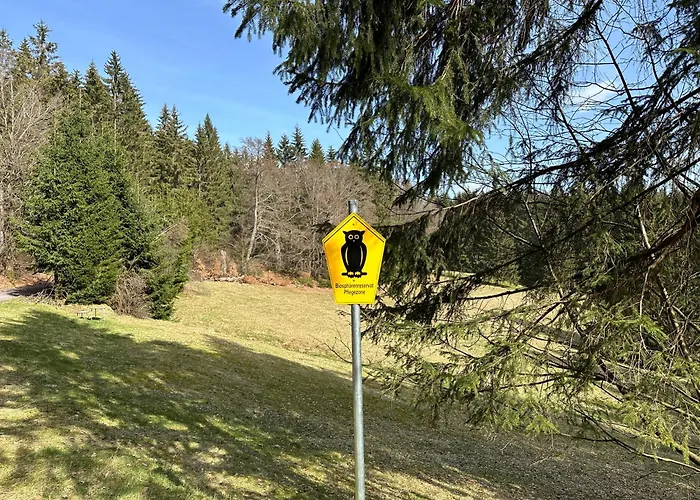 1 - Schmiedefeld - Klein Und Fein