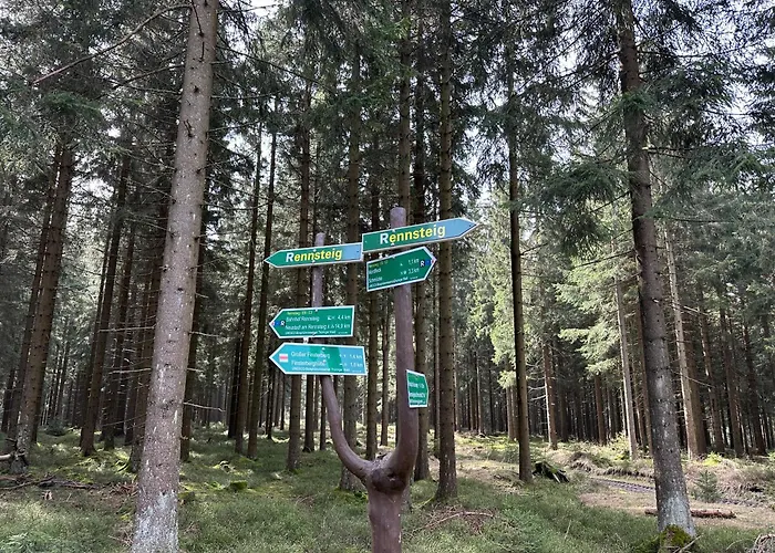 1 - Schmiedefeld - Klein Und Fein *