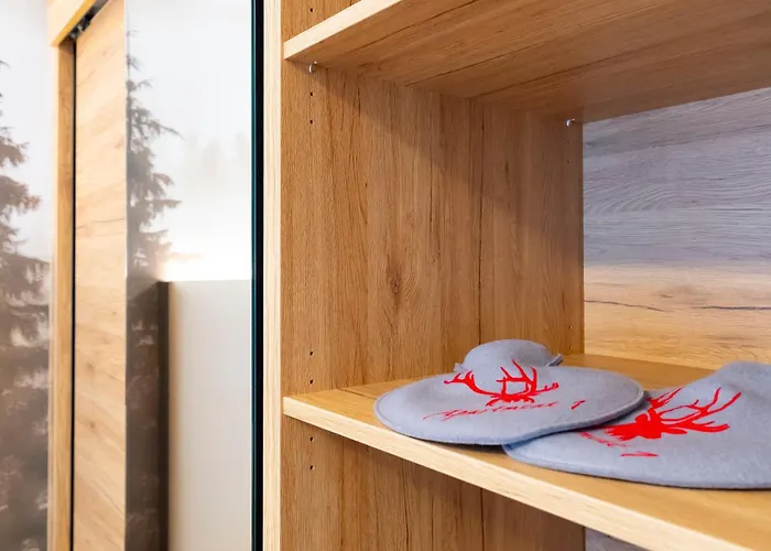 1 - Schmiedefeld - Klein Und Fein Шмидефельд-ам-Ренштайг